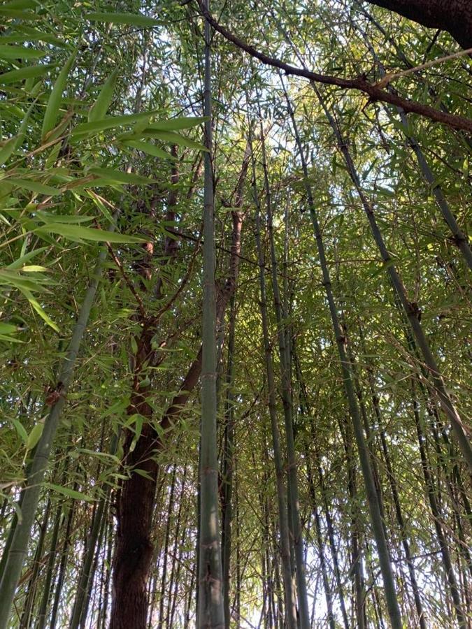 圣杰罗姆农场假日酒店 曼托瓦 外观 照片